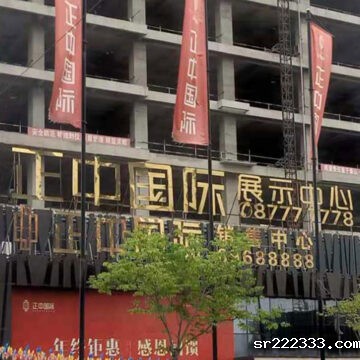 正中国际