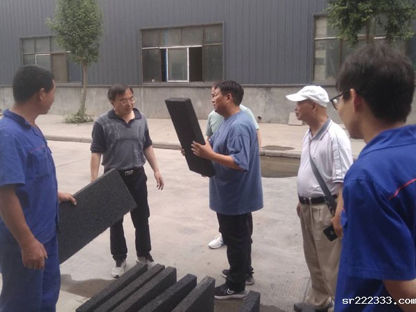 中国建科院王武祥教授莅临星空体育游戏考察-2-20230905031242