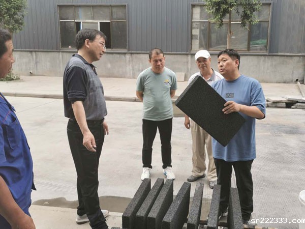 中国建科院王武祥教授莅临星空体育游戏考察-3-20230905031233